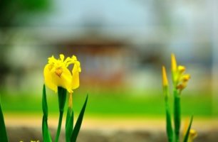 공짜음악사이트3