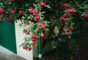 인천사회복지사2