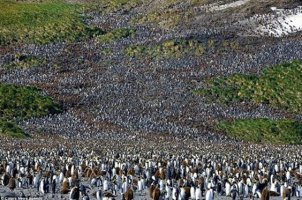 2012추가모집대학2