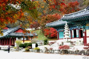 양산 통도사 법사스님 이야기