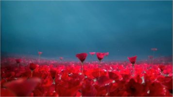 플라워바이겐조1