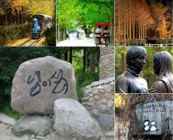 남이섬가족펜션5