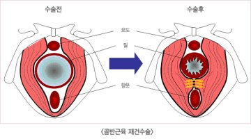 도봉동산부인과3
