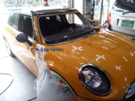 미국수입자동차4