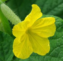 알콜중독요양원1