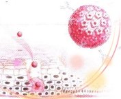 자궁경부암증상1