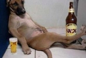 배꼽빠지게 재밌는 짧고 웃긴 이야기