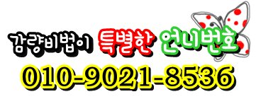 허벌라이프진짜2