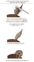 당고머리5