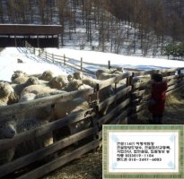 토목공사업면허2