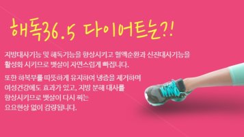 해독다이어트가격5