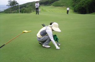 골프장취업3
