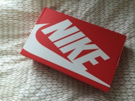 나이키우먼스페가수스1