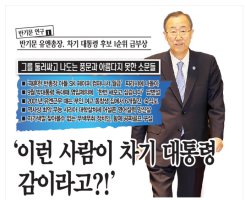 반기문 김대중 감시보고활동 및 비판여론