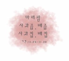 사과즙4
