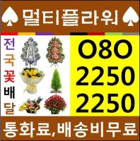 사천꽃가게4