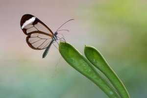 영화다운싸이트3