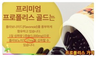 프로폴리스가격2