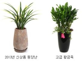 저렴한꽃배달서비스5