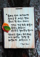 상속전문세무사1