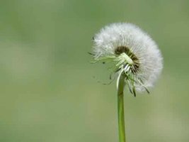 생일선물로좋은것4