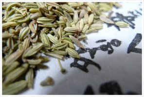 산미나리씨앗효능2