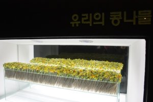 제주도유리의성3