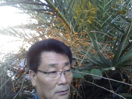 제주아모렉스리조트2