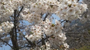 해운대기장방송3