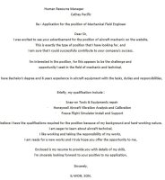 영문자기소개서샘플3