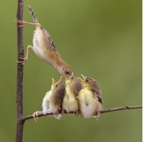 너그러움,성공적인 인간 관계.