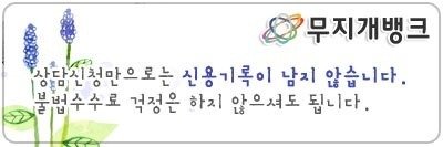 사금융무직자대출4