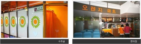 장흥에서제주도1