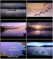 여행사가격비교2