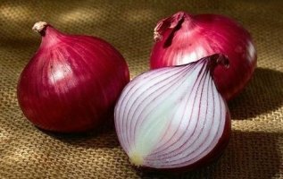 양파즙만드는방법2