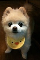 음악다운사이트2