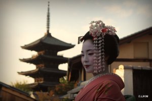 게이샤의추억보기4