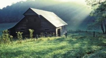 논문해석사이트4