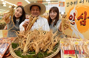 6년근인삼가격3