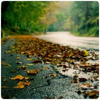 소유권보존등기1