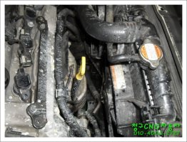 천연가스자동차1