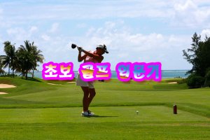 골프입문2