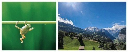 영재놀이지도사5