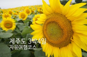제주도3박4일여행코스1