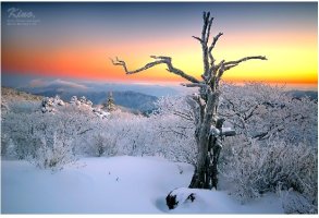 휴대용비상조명등4