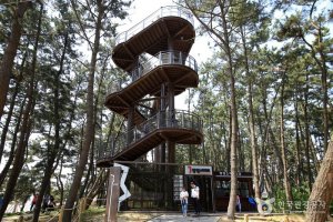 육·해·공을 한자리에서 즐기다, 장항 스카이워크와 송림