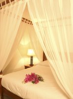 보라카이여행경비2