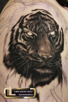 호랑이문신3