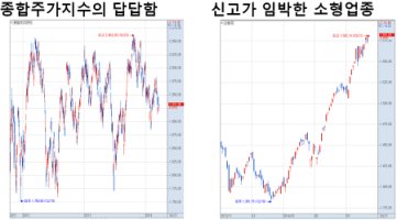 신고가종목5