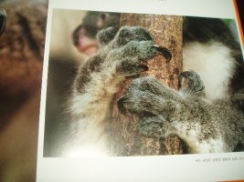 땅꼬마자연앨범4